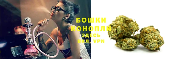 сатива Чекалин