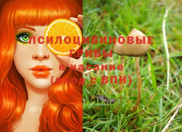 мяу мяу мука Зеленокумск